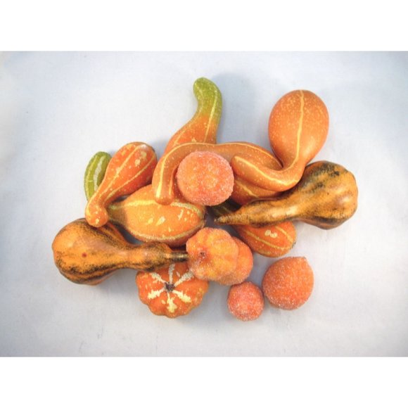 Variety of 14 Fall Decorative Artificial Pumpkins Squash Home Decor - Picture 2 of 12